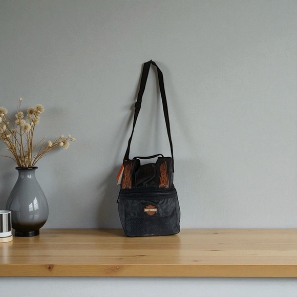 Harley-Davidson Other - Harley Davidson Drink Cooler Bag Insulated Travel Ride Picnic Tote Lunch Flames